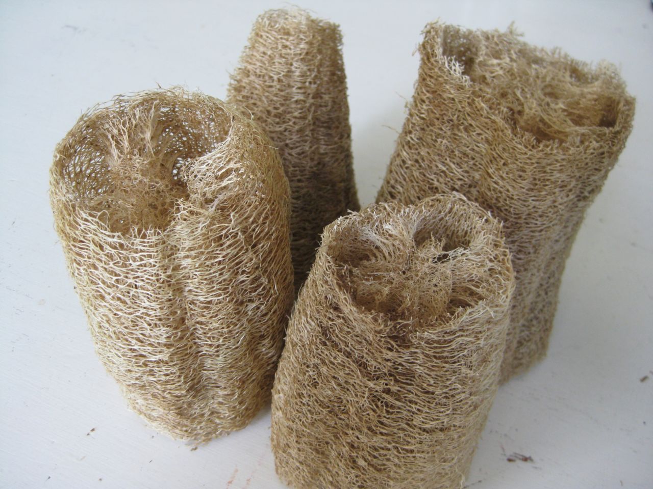 Thrifty homegrown luffa sponges ready for use