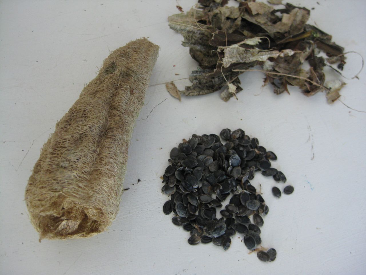 dried and peeled luffa with skin and seeds