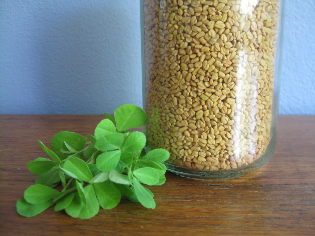 homegrown fenugreek leaves picked for tea next to jar of organic fenugreek seeds from which they were grown